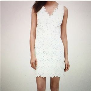 Loft Size 2 petite floral dress